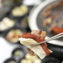 가평생오리 - 45633 | 가평생오리