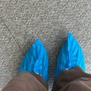 다원다방 | Dec. 뭘했다고 벌써 2025가 끝나는지 정말 이해를 해보려해도 할 수가 없네