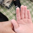 하중도물놀이장 | 대구 아이와 가볼 만한 곳 하중도 야외 무료 물놀이장 간단 후기
