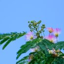 소라산