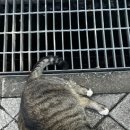 체스노래연습장 이미지