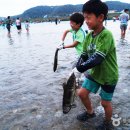 양양 - 제18회 양양연어축제 개최(10.17~19) 이미지