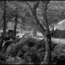 둔내캠프 이미지