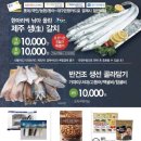 제주생갈치