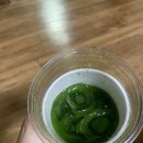 피크니(PICNII) 네이버블로그