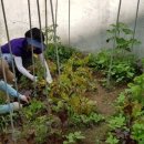 중리할머니경로당 이미지