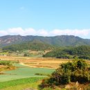 진도어린이집,삐아제어린이집 | 북산-철마산...전남 진도군 진도읍