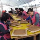 생활도자기 이미지