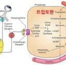 달콤처방 이미지