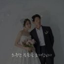 네일프리모어