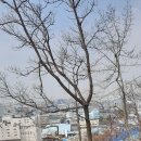 구평동-6 이미지