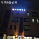 태전동물병원 이미지