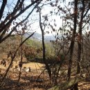 백암초등학교수정분교장 이미지