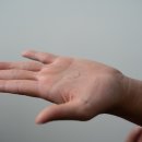 유기농스킨케어 - 의정부시 | 유기농스킨케어