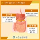 바른숲한의원 네이버블로그