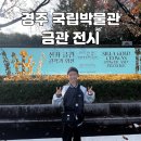 UR(경주시)-[내서로]-하-3 | 경주국립박물관 금관 전시 - 아이와 웨이팅 티켓 주차장 관람 후기