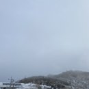 상고제 | 덕유산 아이젠 대여 가격, 곤돌라 예약 주의사항, 무주리조트 주차 꿀팁