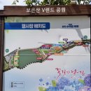 강진군관광안내소 | 여름 꽃 축제! 전남 강진 가볼만한 곳 6월! 보은산 수국길 축제 다녀왔어요. D-1 !!! (보은산V랜드공원)