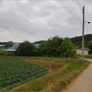 안성면010 이미지