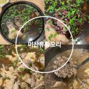 유황오리 | 평택 오리백숙 맛집 미산유황오리 한방오리 후기 알려드립니다