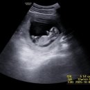 프라우삼성산부인과의원 이미지