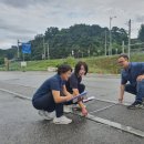 시도2호선 이미지