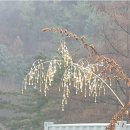 유방암3기, 항암 후 시체에 가까운 컨디션이었는데 지금 암 없이 잘 지내고 있습니다~