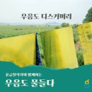 우음도 에코뮤지엄 이미지