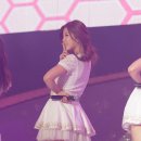 초롱