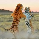 &#34;국민의힘 분당 상태&#34; 이미지