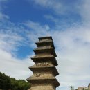 신도중학교 Daum카페