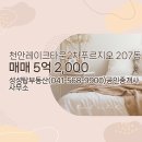 부동산타운 공인중개사사무소 이미지