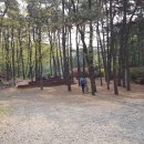 한일유치원 이미지