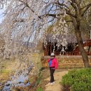 원다리길 이미지