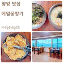 꽃향기 | 강원도 양양 막국수 맛집 메밀꽃향기 내돈내산 후기