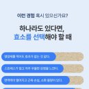 비타씨디