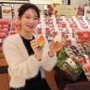 홍희푸드 이미지