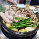 마산곱창 맛집 추천 오동동 일송돌곱창 방문후기