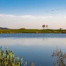 골프무인텔 이미지