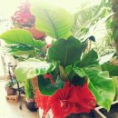 글나라어린이집 이미지