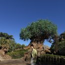 (주)초원애니멀헬스 | 🛩 [2025올랜도-2] 디즈니월드만 3일 연속 다녀온 블로그입니다