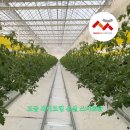 대류농장 이미지