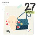 11500-22-27-12 | 임신 27주, 대전 성심당 임산부 프리패스 이용 후기, 꿀팁 추천