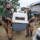 영구농장 이미지