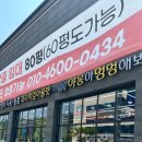 야옹아 멍멍해봐 강아지고양이 청주동남점 네이버블로그