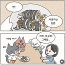 최고김밥 - 북구 서방로9번길 8 | 최고김밥