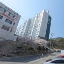 당리반도보라맨션