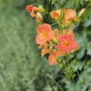 인화여자고등학교 이미지