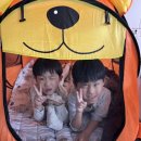 호암태권도 | 트리니티태권도 주말수업 토요수업 5세6세7세태권도 유아체능단 유아체육 수영구태권도 광안리태권도...