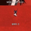 하루시작 이미지